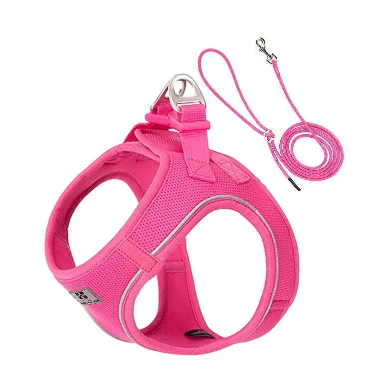 Set Harnais Laisse Chiot Nylon Respirant
