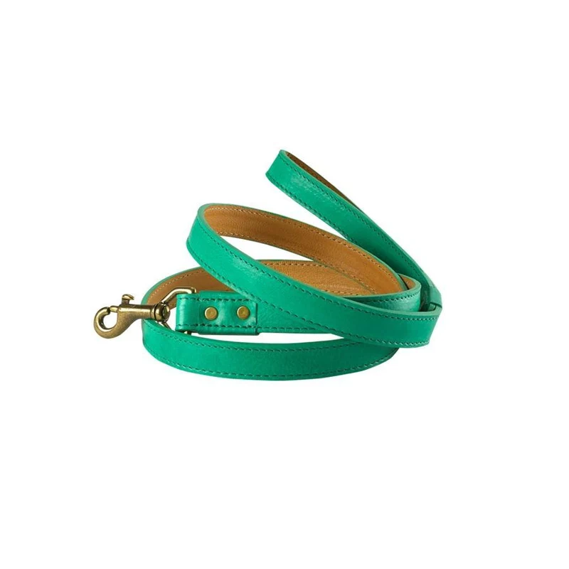 4 ft. Italian Leather Dog Leash