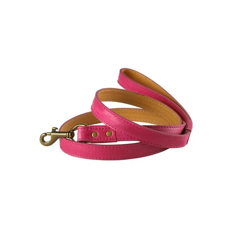 4 ft. Italian Leather Dog Leash