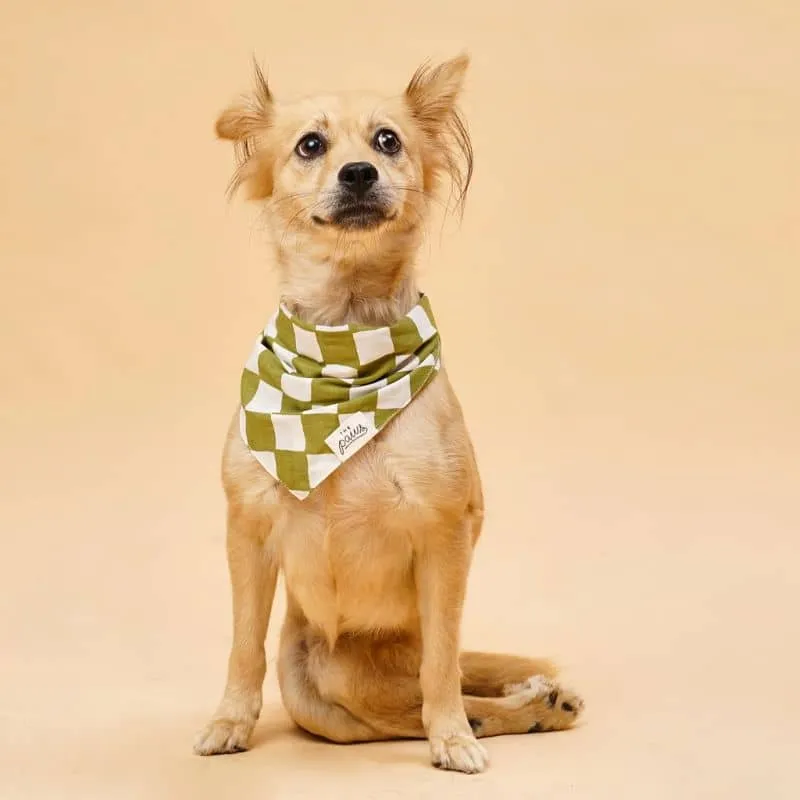 BANDANA POUR CHIEN - CHECKMATE VERT