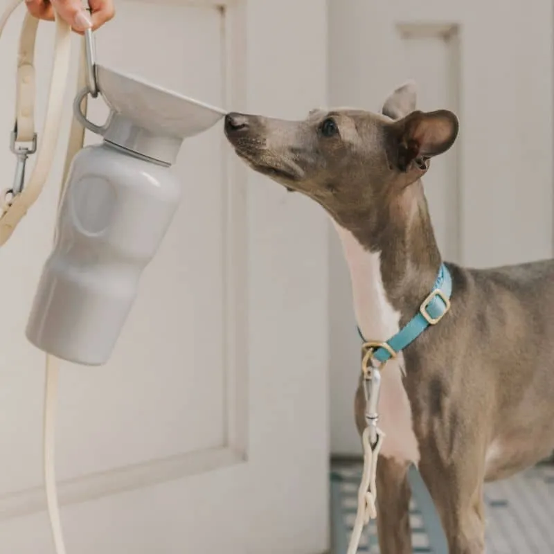 GOURDE PORTABLE POUR CHIEN AVEC RÉSERVOIR D'EAU - GRIS (TAILLE L - 650ML)