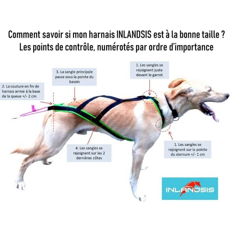 HARNAIS DE CANICROSS POLAR QUEST
