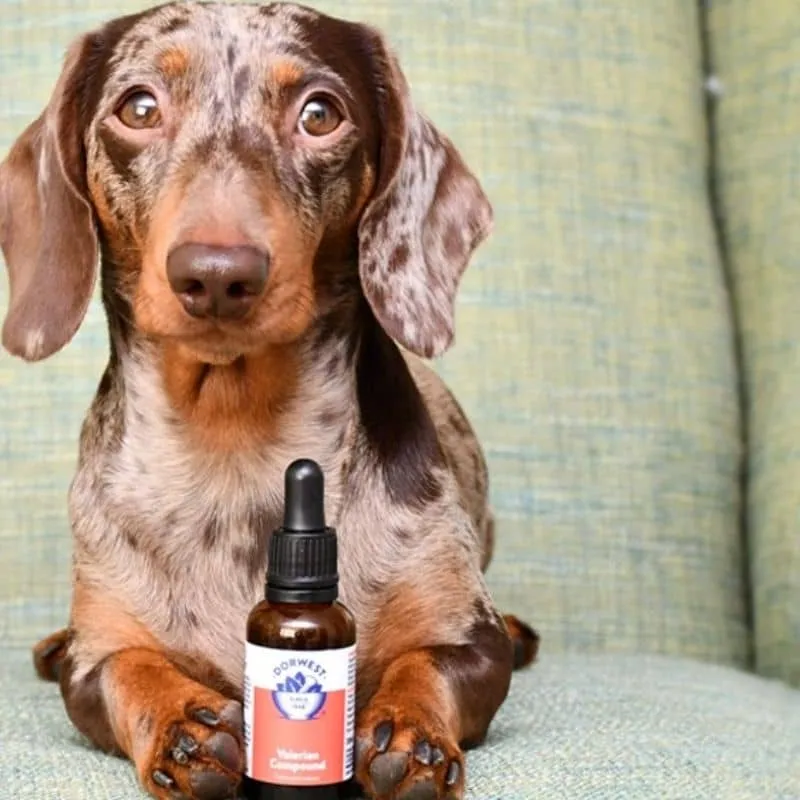 EXTRAIT NATUREL DE VALÉRIANE CONTRE LE STRESS - POUR CHIEN ET CHAT ANXIEUX