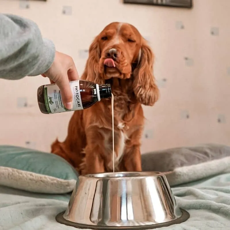 COMPLÉMENT ALIMENTAIRE POUR LE CONFORT DIGESTIF DIGEST+ - POUR CHIEN ET CHAT