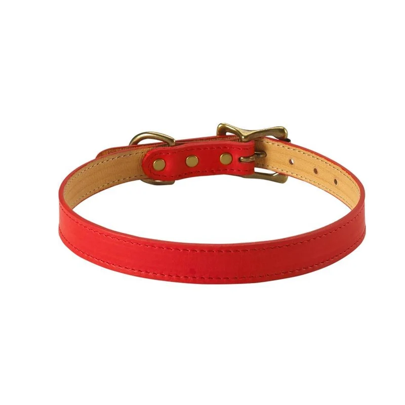Italian Leather "Medium" Dog Collar - Personalized