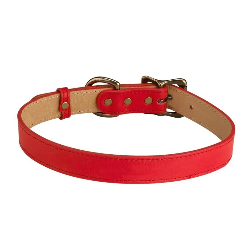 Italian Leather "Large" Dog Collar - Personalized