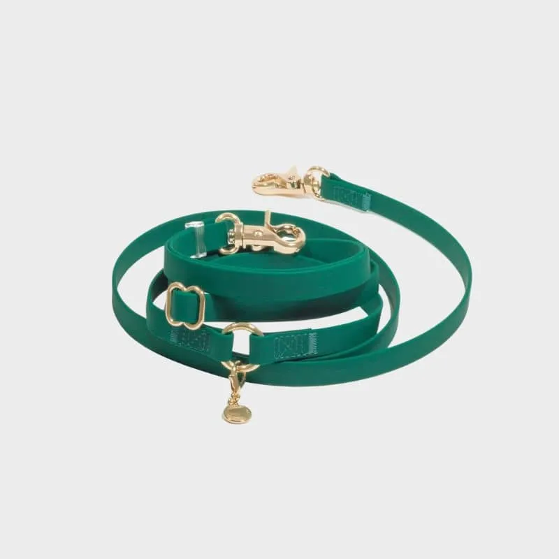 LAISSE POUR CHIEN MULTIPOSITIONS 4 EN 1 CONVERTIBLE WATERPROOF - VERT