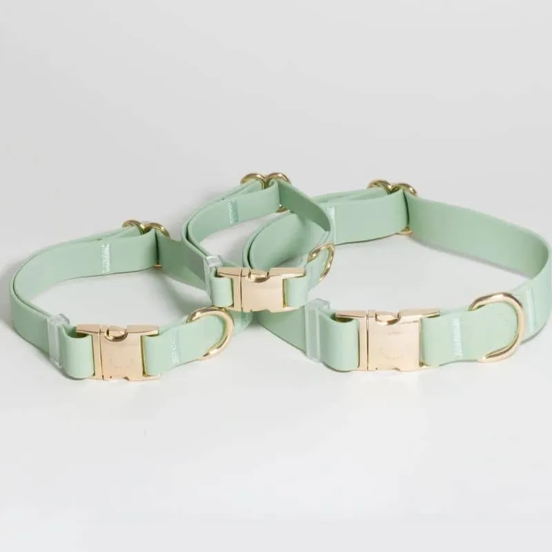COLLIER POUR CHIEN WATERPROOF - PISTACHE