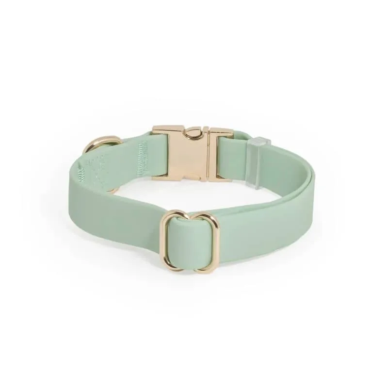 COLLIER POUR CHIEN WATERPROOF - PISTACHE