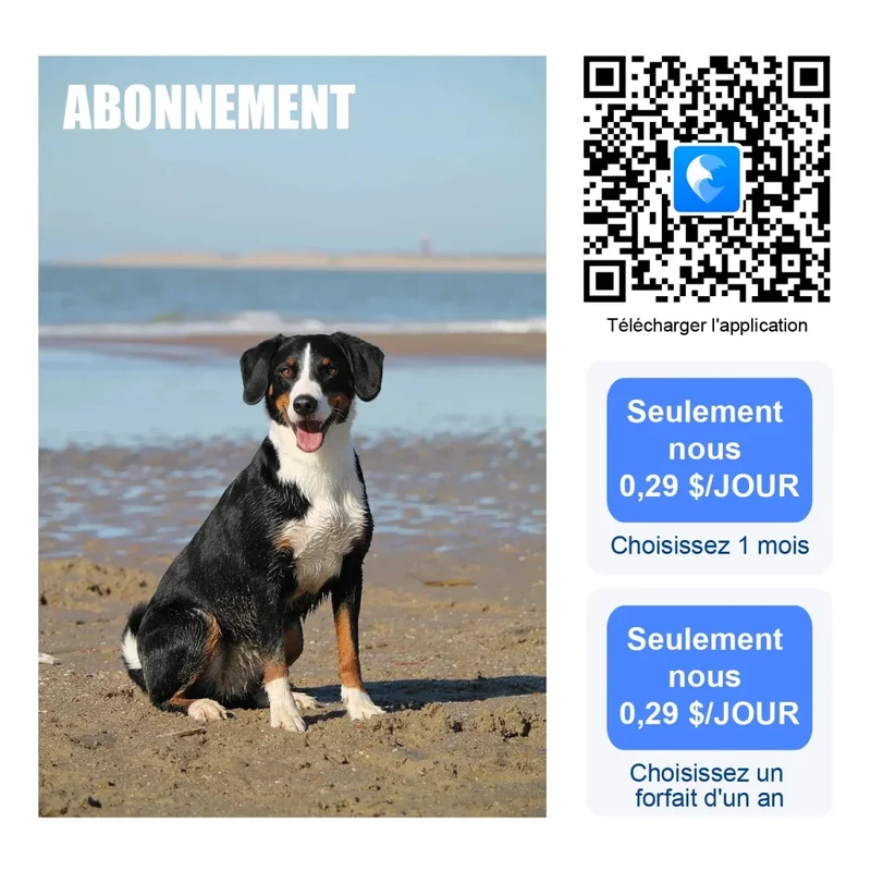 Collier GPS Gros Chien Étanche