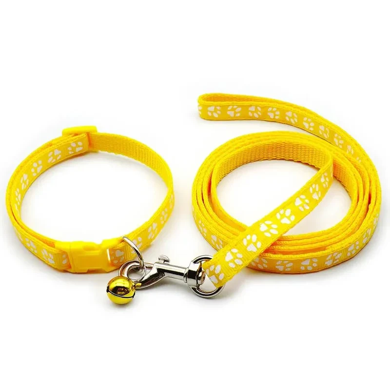 Kit Laisse Collier Chiot 13 Coloris