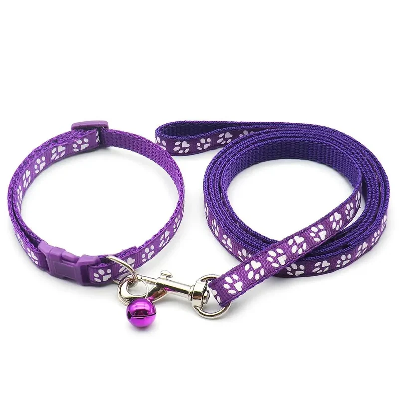 Kit Laisse Collier Chiot 13 Coloris
