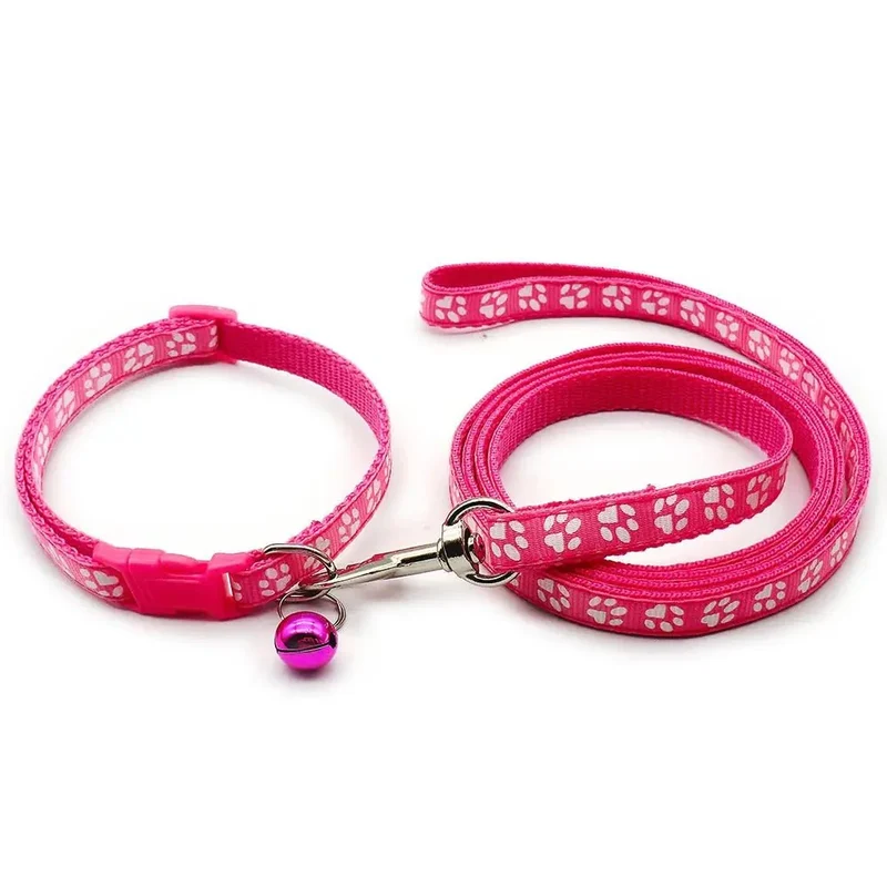 Kit Laisse Collier Chiot 13 Coloris