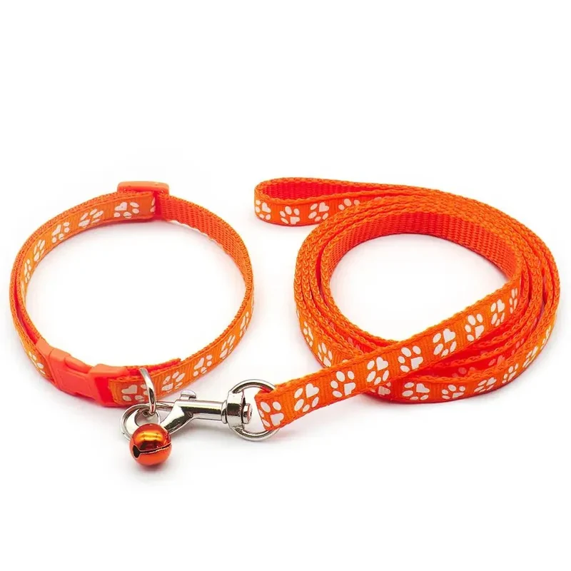 Kit Laisse Collier Chiot 13 Coloris