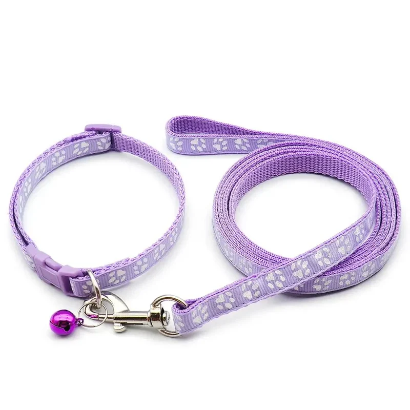 Kit Laisse Collier Chiot 13 Coloris