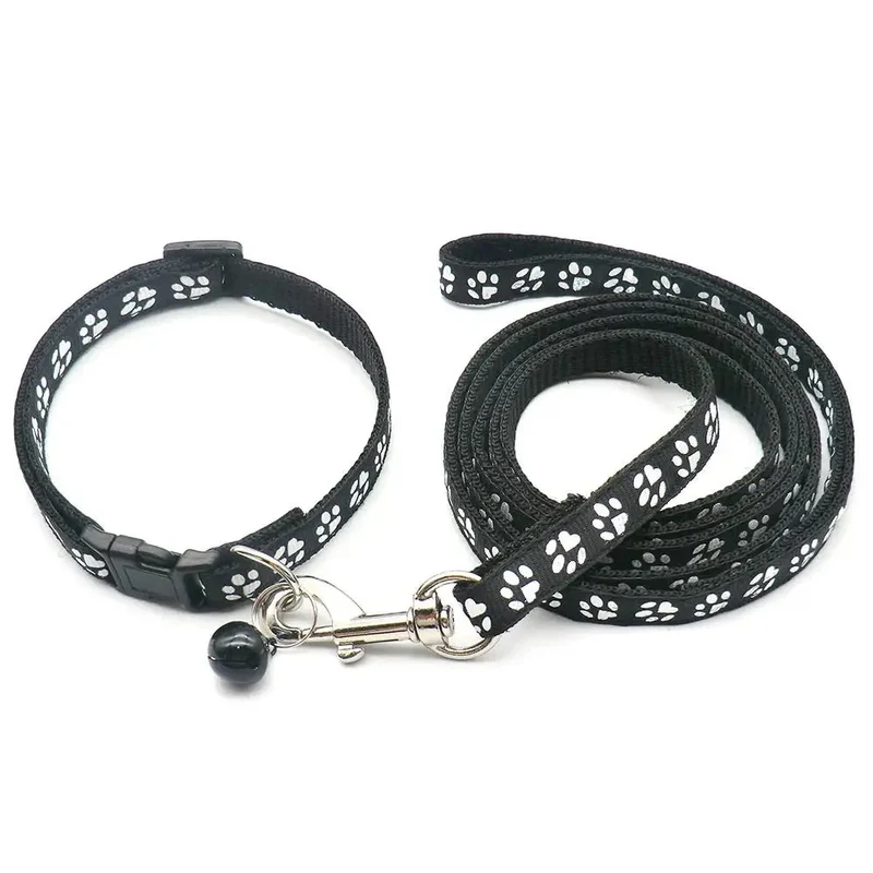 Kit Laisse Collier Chiot 13 Coloris