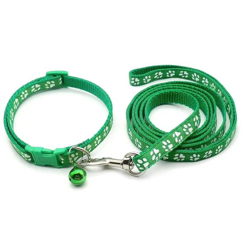 Kit Laisse Collier Chiot 13 Coloris