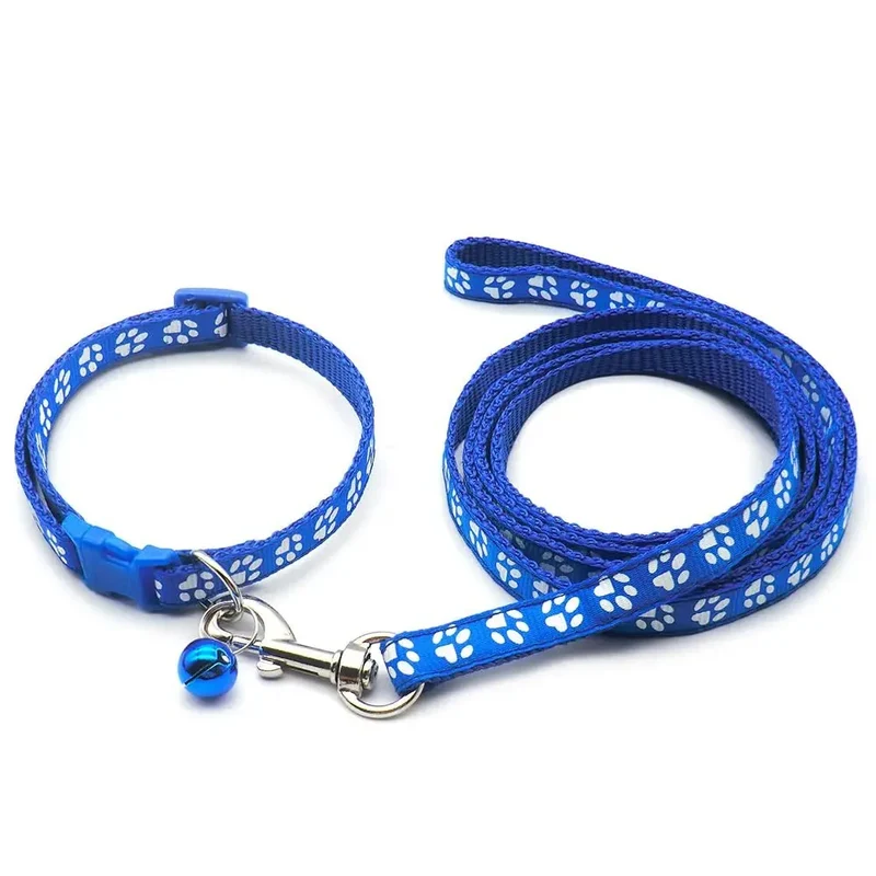Kit Laisse Collier Chiot 13 Coloris