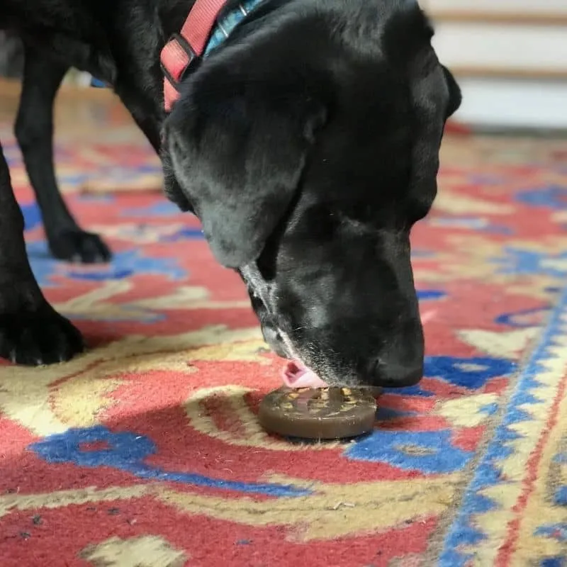 JOUET D’OCCUPATION À MÂCHER OU LÉCHER POUR CHIEN - CACAHUÈTE