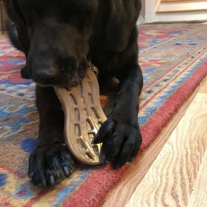 JOUET D’OCCUPATION À MÂCHER OU LÉCHER POUR CHIEN - CACAHUÈTE