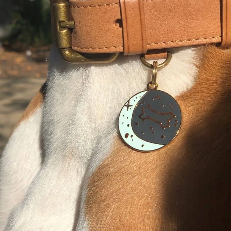 MÉDAILLE POUR CHIEN - CONSTELLATION ✨