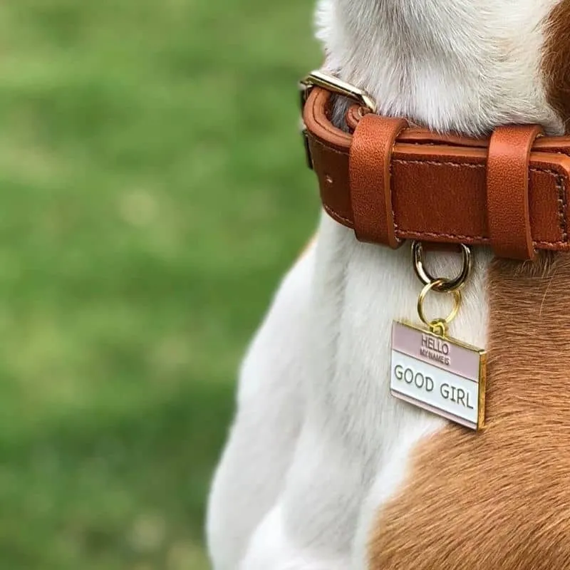 MÉDAILLE POUR CHIEN - GOOD GIRL 😇