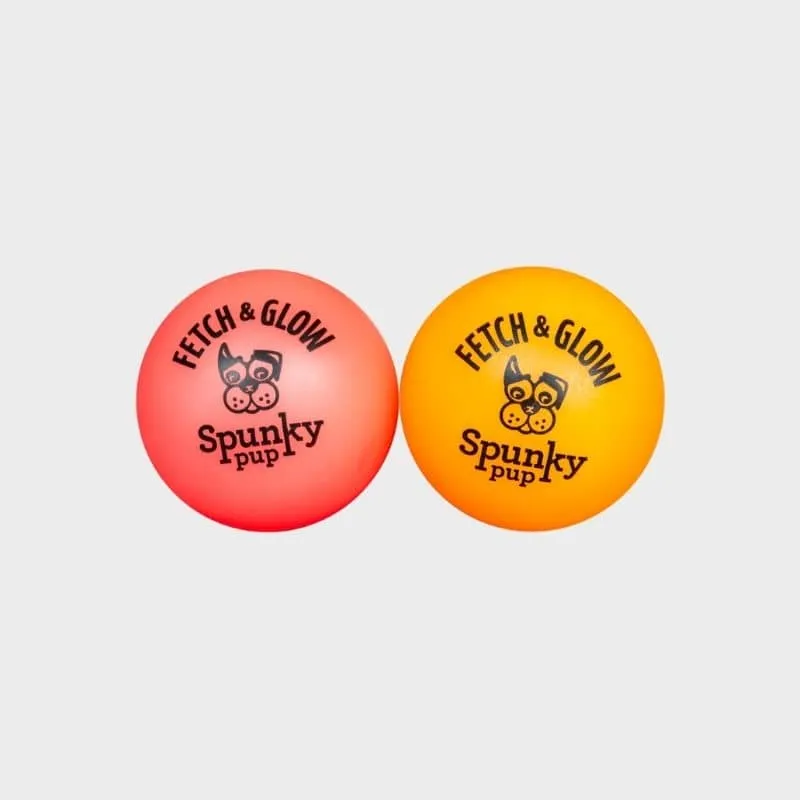 LOT DE 2 BALLES PHOSPHORESCENTES POUR CHIEN TAILLE S - FETCH & GLOW (BRILLE DANS LE NOIR)