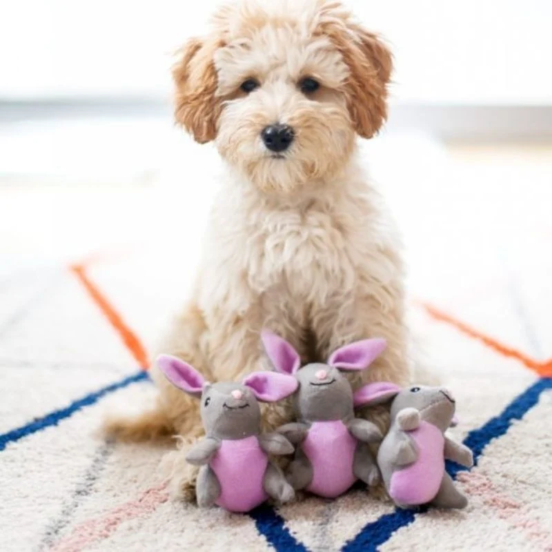 JOUET D’OCCUPATION INTERACTIF POUR CHIEN - CAROTTE ET LAPINS 🥕🐰