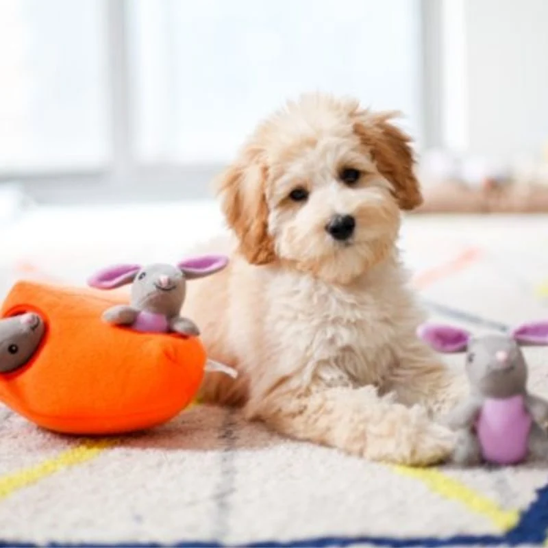 JOUET D’OCCUPATION INTERACTIF POUR CHIEN - CAROTTE ET LAPINS 🥕🐰