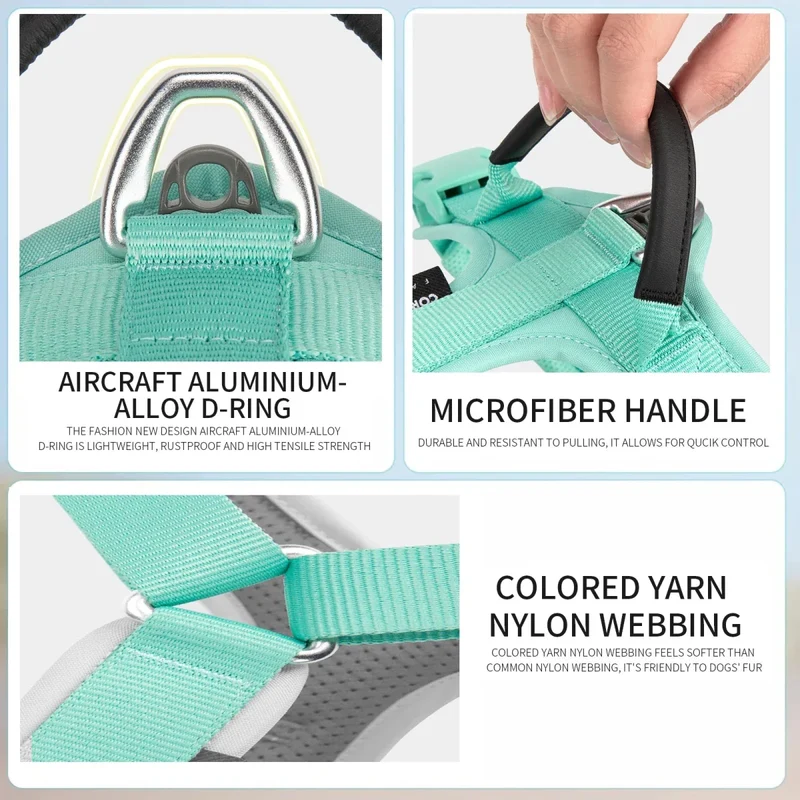 Harnais Anti-Traction Petit Compagnon XS