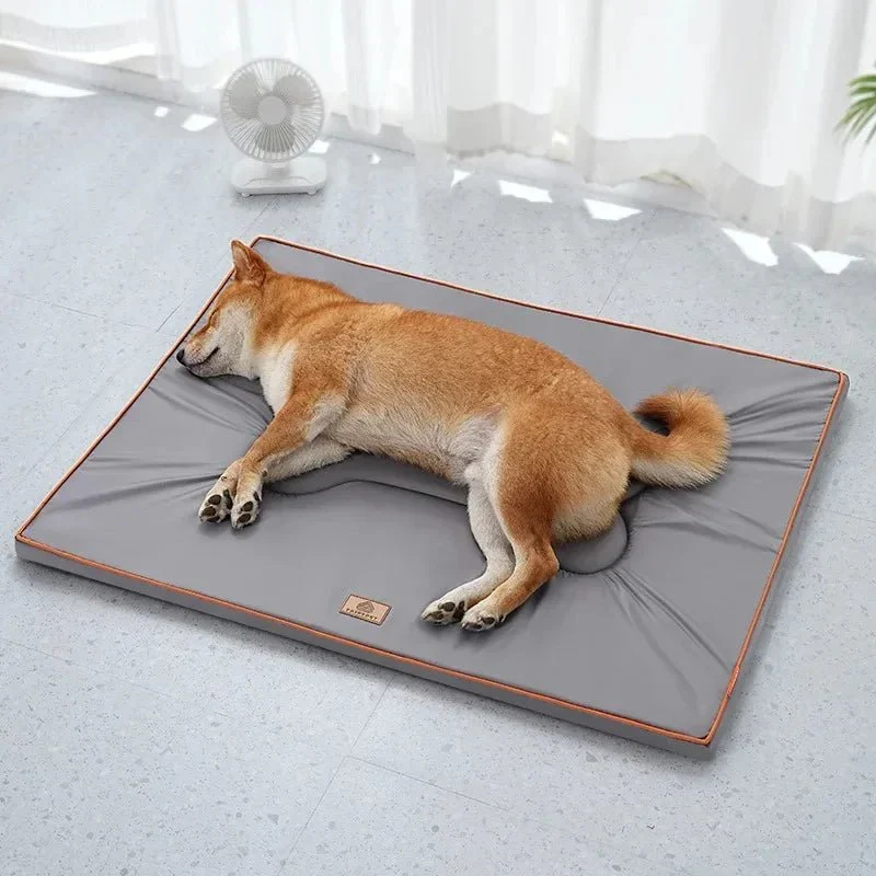 Tapis Extérieur Imperméable Antidérapant Chien