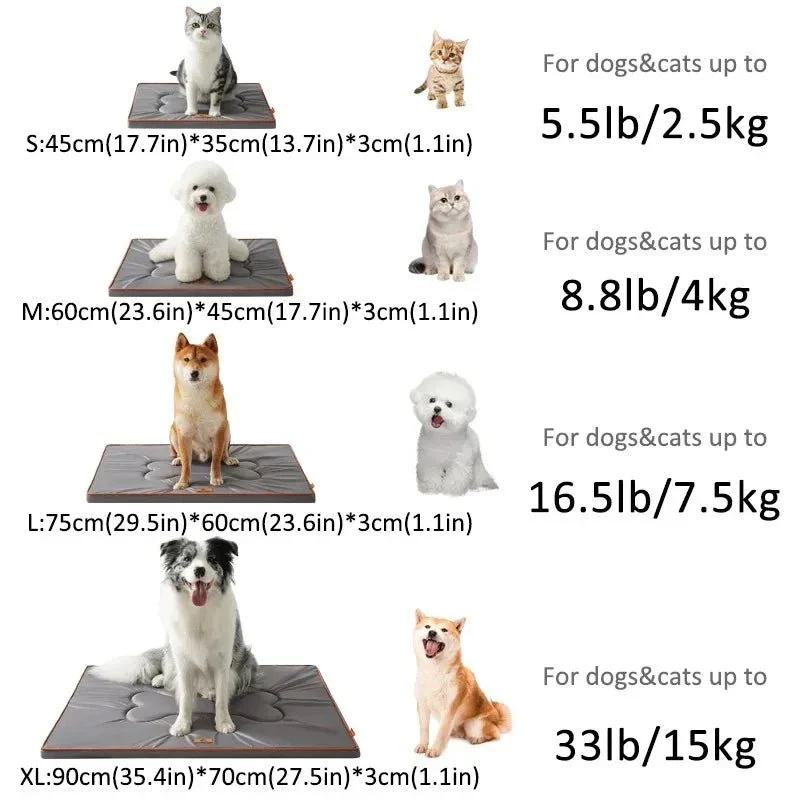 Tapis Extérieur Imperméable Antidérapant Chien