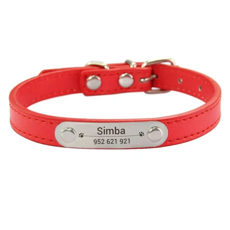 Collier Chiot Personnalisé Plaque Inox Gravée
