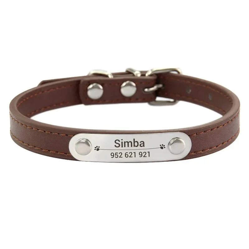 Collier Chiot Personnalisé Plaque Inox Gravée