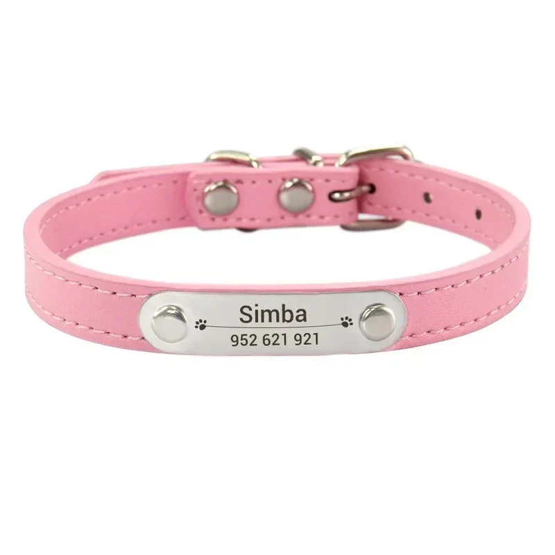 Collier Chiot Personnalisé Plaque Inox Gravée