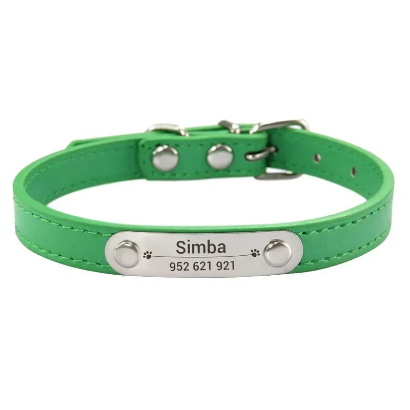 Collier Chiot Personnalisé Plaque Inox Gravée