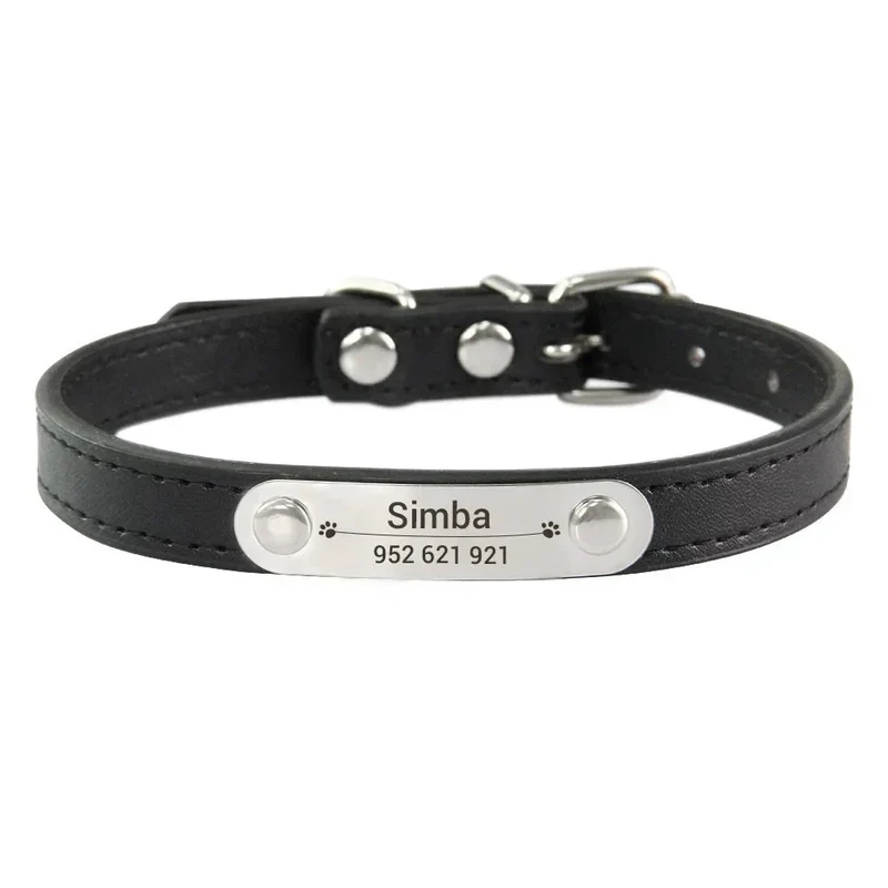 Collier Chiot Personnalisé Plaque Inox Gravée
