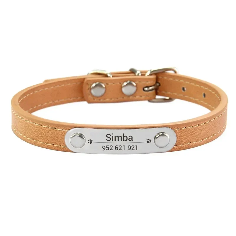 Collier Chiot Personnalisé Plaque Inox Gravée