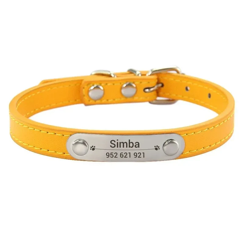 Collier Chiot Personnalisé Plaque Inox Gravée