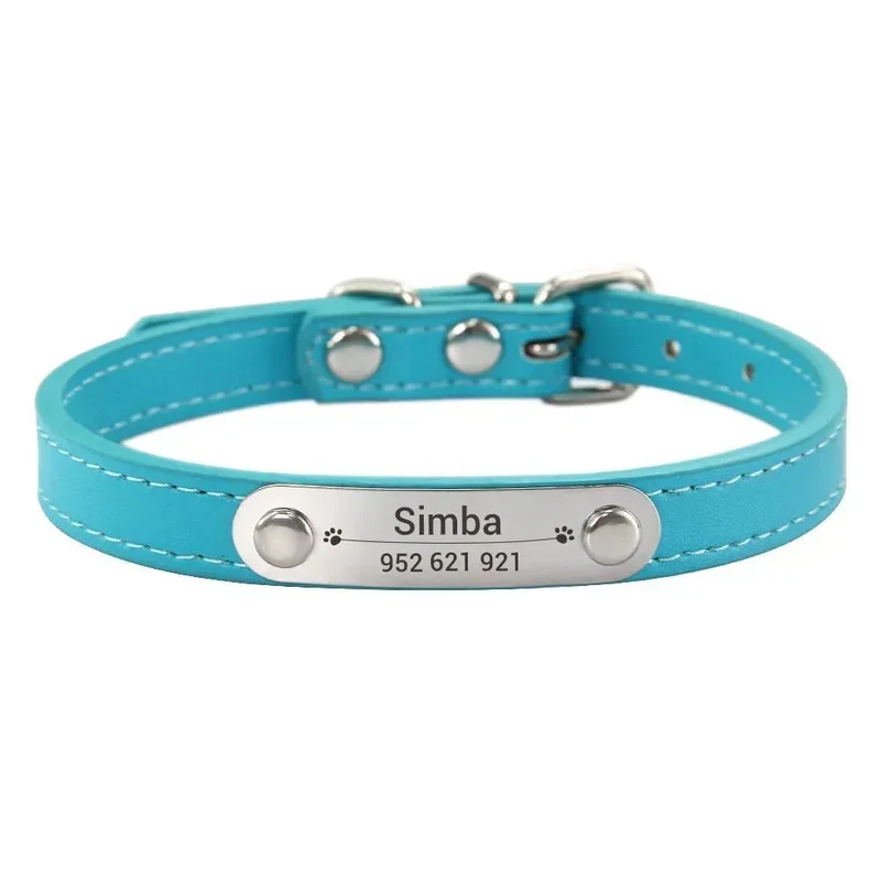 Collier Chiot Personnalisé Plaque Inox Gravée