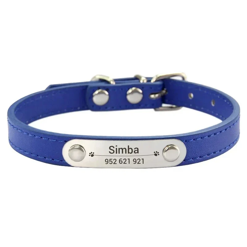 Collier Chiot Personnalisé Plaque Inox Gravée