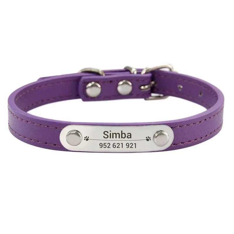 Collier Chiot Personnalisé Plaque Inox Gravée