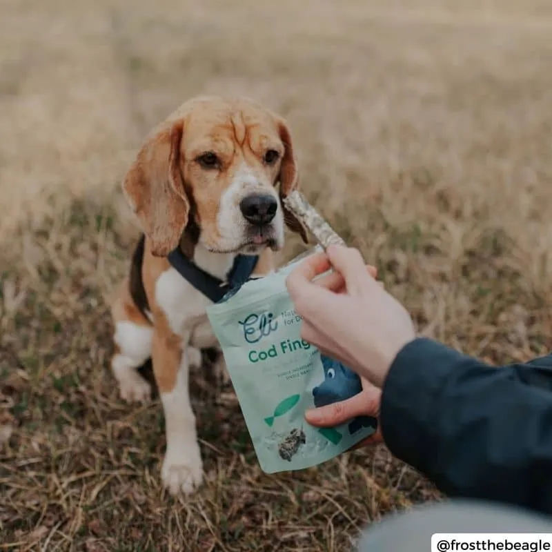 FRIANDISES POUR CHIEN - STICKS DE MORUE SÉCHÉE