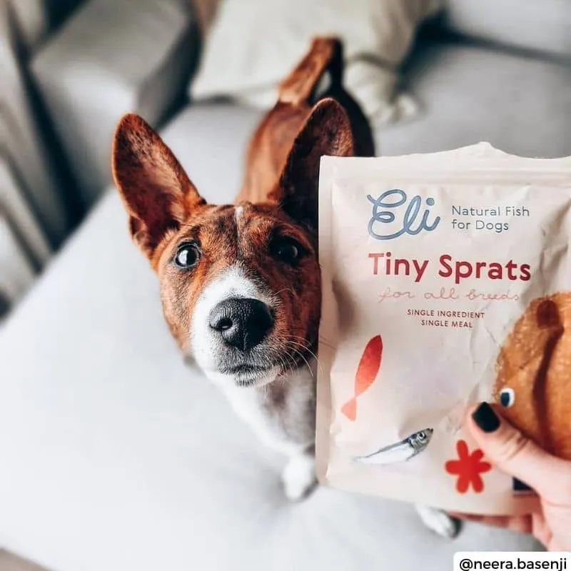 FRIANDISES POUR CHIEN - PETITS SPRATS