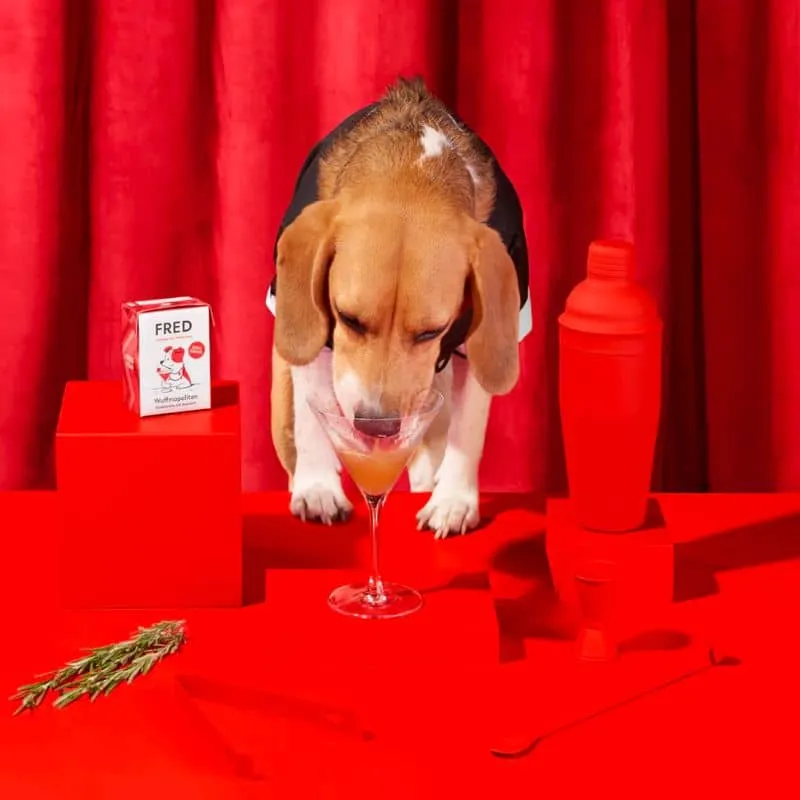 BOISSON POUR CHIEN - WUFFMOPOLITAN * BOUILLON DE BOEUF