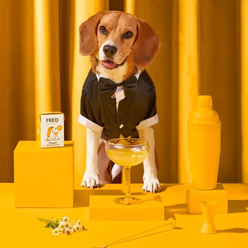 BOISSON POUR CHIEN - WAUQUIRI * BOUILLON DE POULET