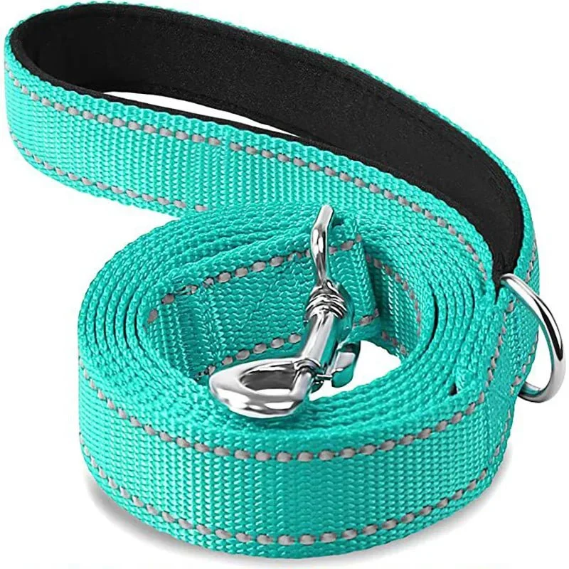 Laisse Nylon Réfléchissante Gros Chien
