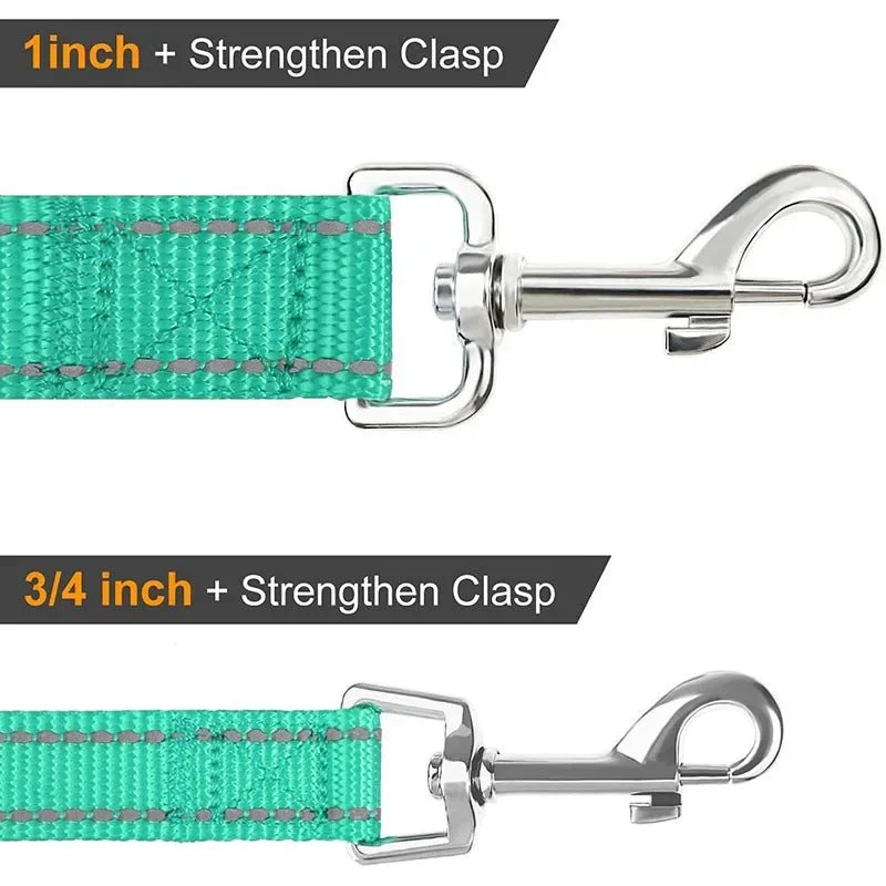 Laisse Nylon Réfléchissante Gros Chien