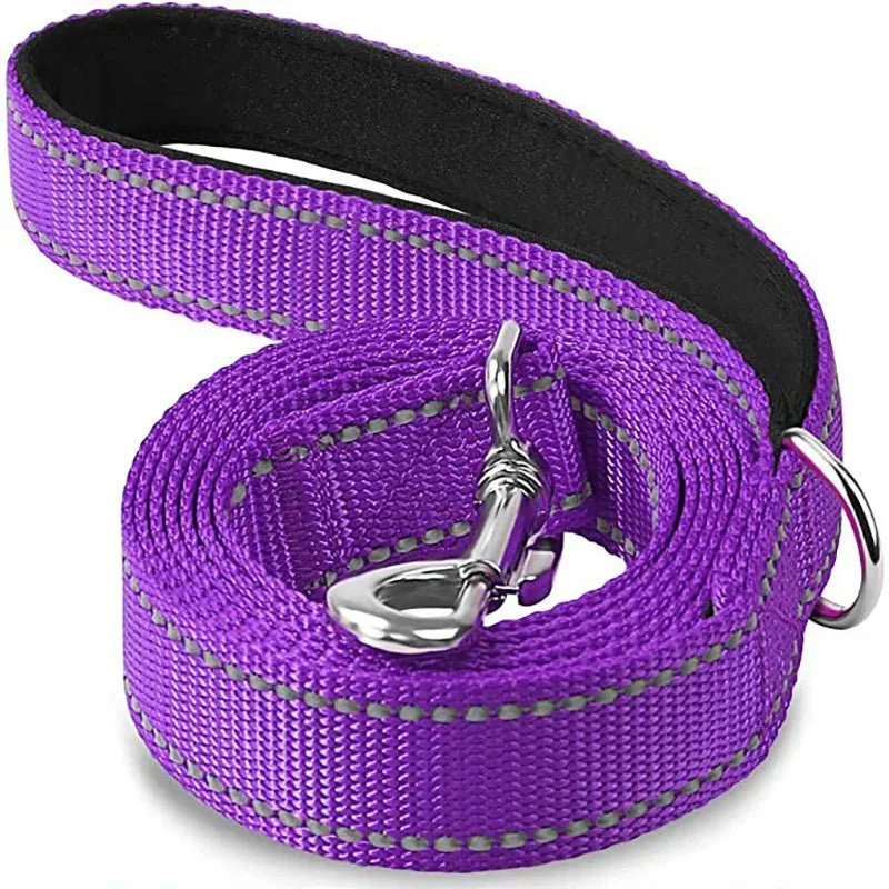 Laisse Nylon Réfléchissante Gros Chien