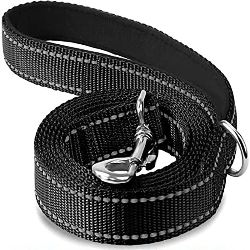Laisse Nylon Réfléchissante Gros Chien